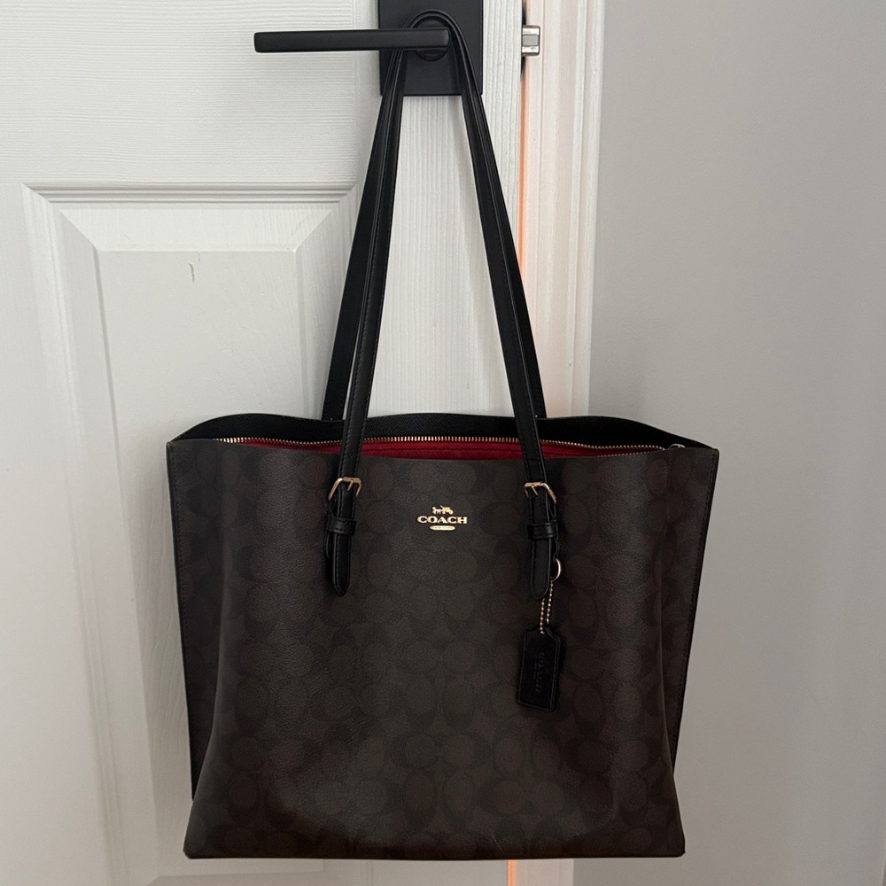 Coach Mollie Tote Bag in Signature Canvas